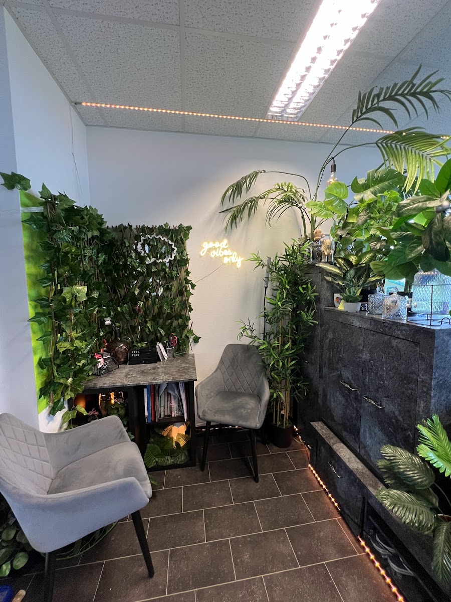 Entspannte Ecke mit Pflanzen im Studio